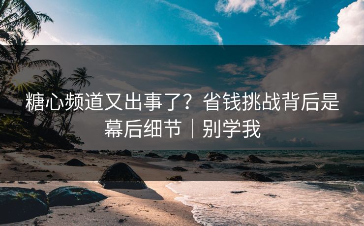 糖心频道又出事了?省钱挑战背后是幕后细节|别学我 第1张 糖心频道又出事了?省钱挑战背后是幕后细节|别学我 第1张