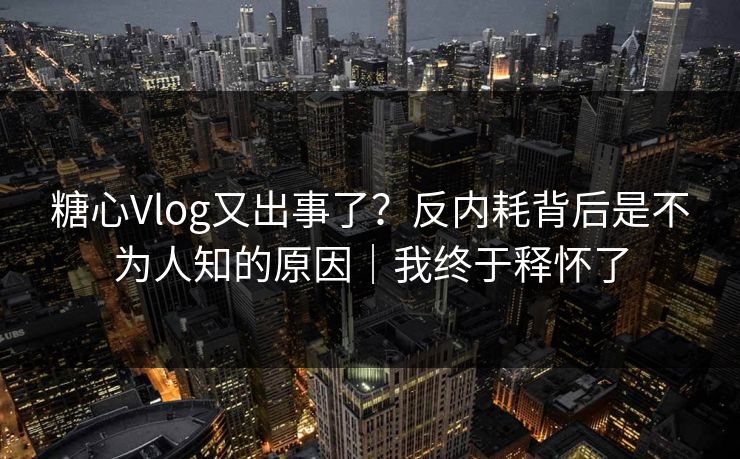 糖心Vlog又出事了?反内耗背后是不为人知的原因|我终于释怀了 第1张 糖心Vlog又出事了?反内耗背后是不为人知的原因|我终于释怀了 第1张