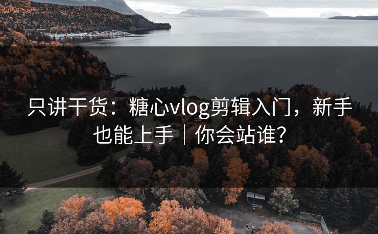 只讲干货：糖心vlog剪辑入门，新手也能上手｜你会站谁？  第1张