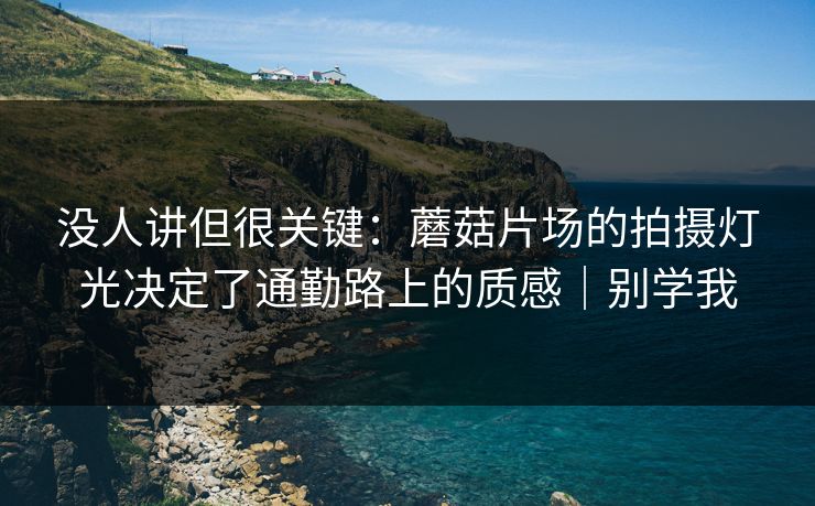 没人讲但很关键:蘑菇片场的拍摄灯光决定了通勤路上的质感|别学我 第1张 没人讲但很关键:蘑菇片场的拍摄灯光决定了通勤路上的质感|别学我 第1张