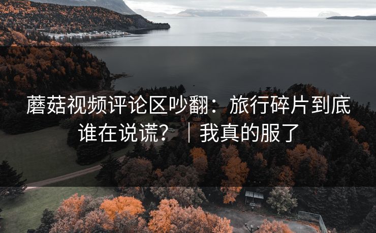 蘑菇视频评论区吵翻：旅行碎片到底谁在说谎？｜我真的服了  第1张