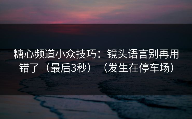 糖心频道小众技巧:镜头语言别再用错了(最后3秒)(发生在停车场) 第1张 糖心频道小众技巧:镜头语言别再用错了(最后3秒)(发生在停车场) 第1张