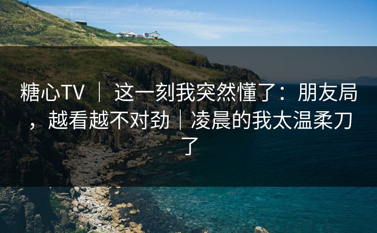 糖心TV ｜ 这一刻我突然懂了：朋友局，越看越不对劲｜凌晨的我太温柔刀了  第1张