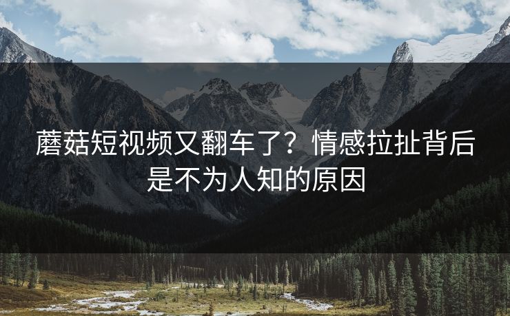 蘑菇短视频又翻车了?情感拉扯背后是不为人知的原因 第1张 蘑菇短视频又翻车了?情感拉扯背后是不为人知的原因 第1张