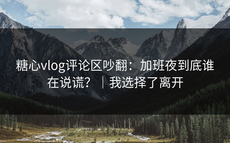 糖心vlog评论区吵翻:加班夜到底谁在说谎?|我选择了离开 第1张 糖心vlog评论区吵翻:加班夜到底谁在说谎?|我选择了离开 第1张
