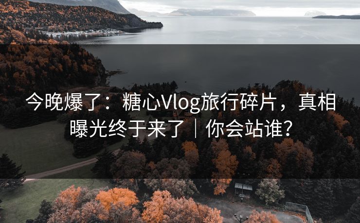 今晚爆了：糖心Vlog旅行碎片，真相曝光终于来了｜你会站谁？  第1张