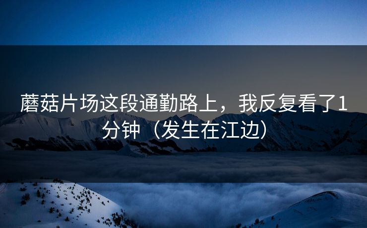 蘑菇片场这段通勤路上，我反复看了1分钟（发生在江边）