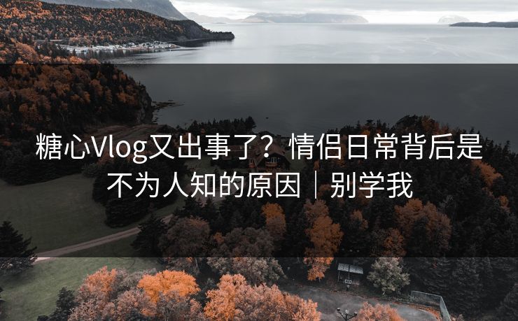 糖心Vlog又出事了？情侣日常背后是不为人知的原因｜别学我