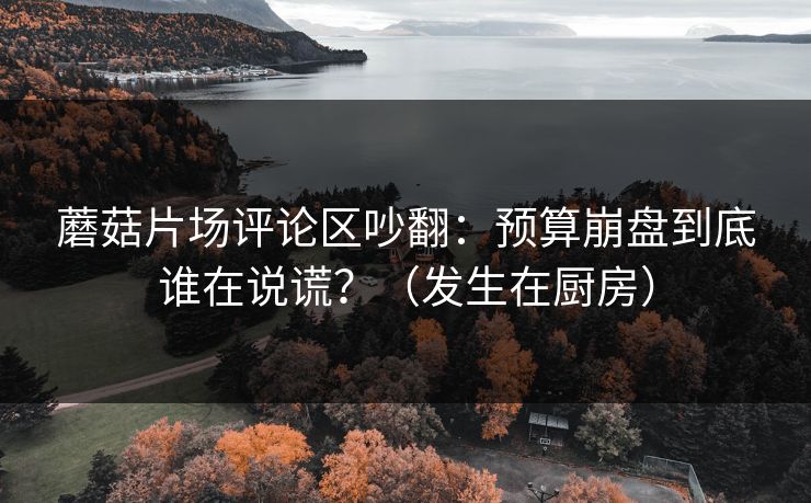 蘑菇片场评论区吵翻：预算崩盘到底谁在说谎？（发生在厨房）