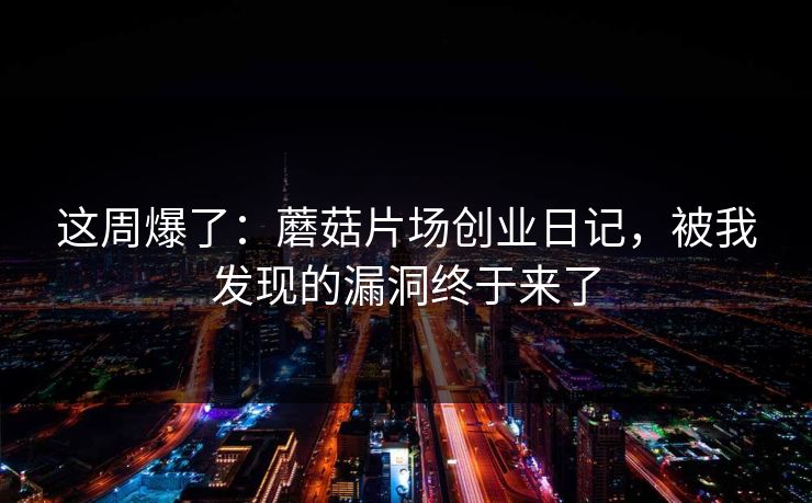 这周爆了：蘑菇片场创业日记，被我发现的漏洞终于来了
