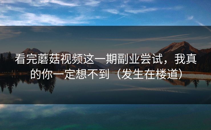 看完蘑菇视频这一期副业尝试，我真的你一定想不到（发生在楼道）
